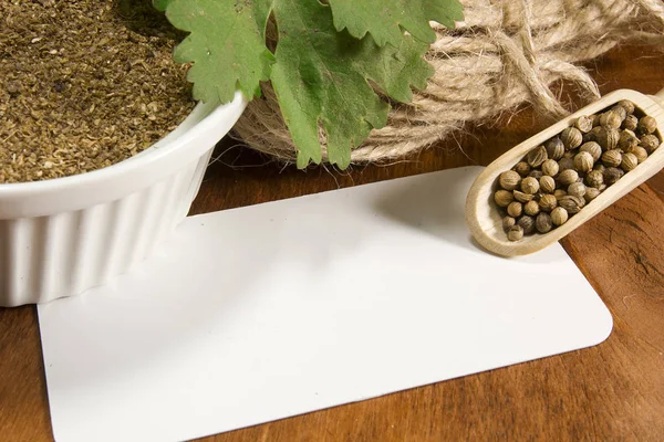 Cilantro beans and ground — Stock Photo, Image