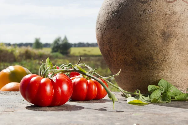 Pomodori e vecchia brocca di argilla — Foto Stock