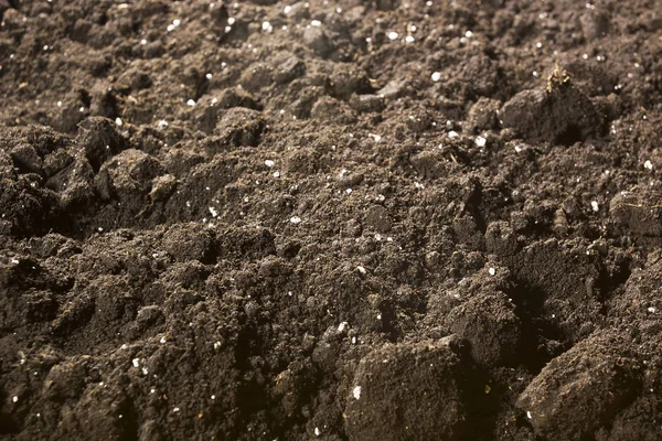土壌クローズ アップ トップ ビュー — ストック写真
