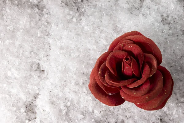 Red rose on the white snow — Stock Photo, Image