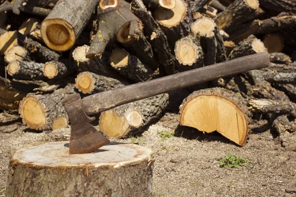 Old rusty ax — Stock Photo, Image