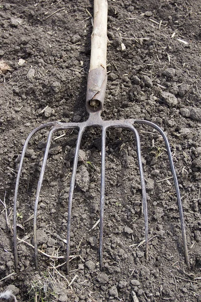 Pitchforks on the ground — Stock Photo, Image
