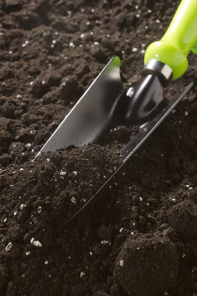 Tuingereedschap in de grond — Stockfoto