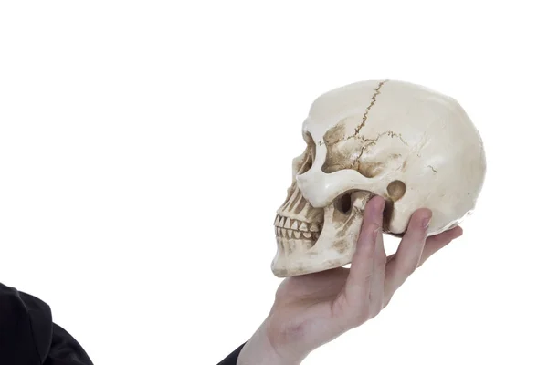 Cráneo en mano —  Fotos de Stock