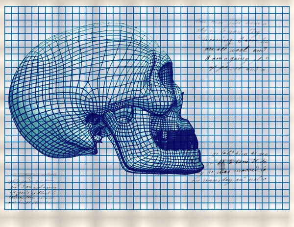 Coordinate grid with human skull