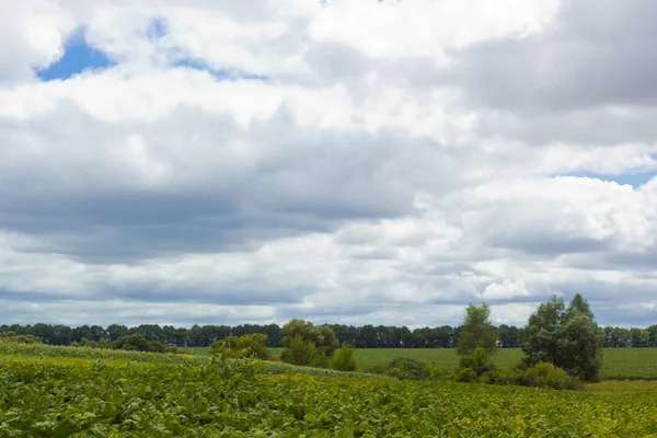 Paisaje rural en el campo — Foto de Stock