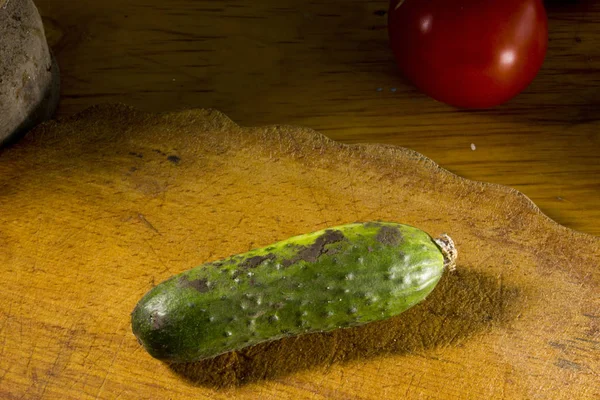 Gurken und Tomaten aus dem Garten — Stockfoto