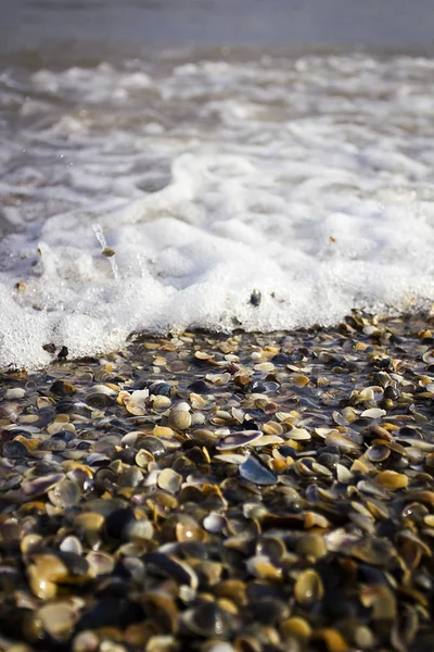 Zeegolf aan de kust — Stockfoto