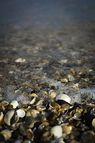 Ola de mar en la orilla — Foto de Stock