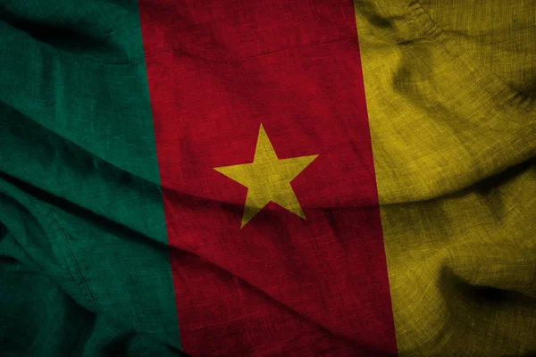 State flag Republic of Cameroon — Stock Photo, Image