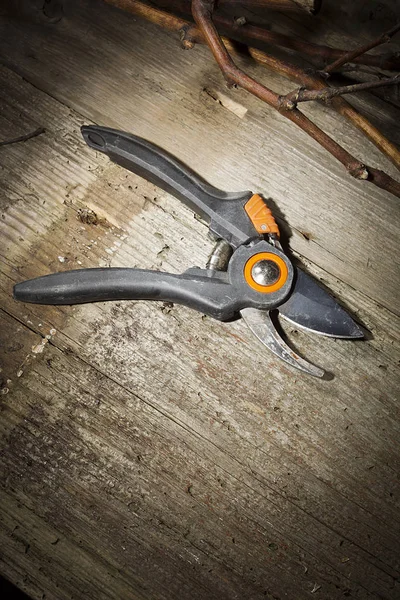 Garden secateurs and pruned branches — Stock Photo, Image