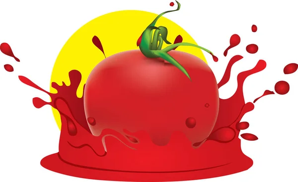 Splash from tomato — 스톡 벡터