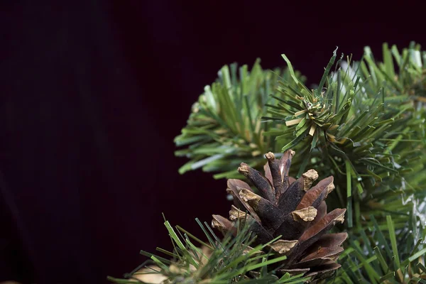 Artificial pine branch — ストック写真