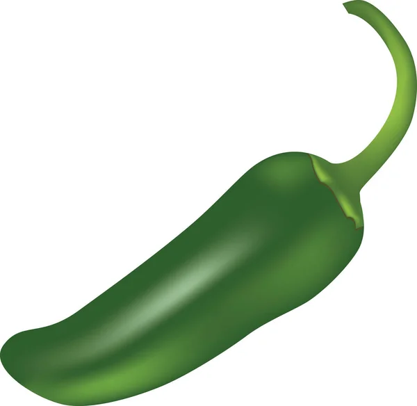 Papryka jalapeno — Wektor stockowy