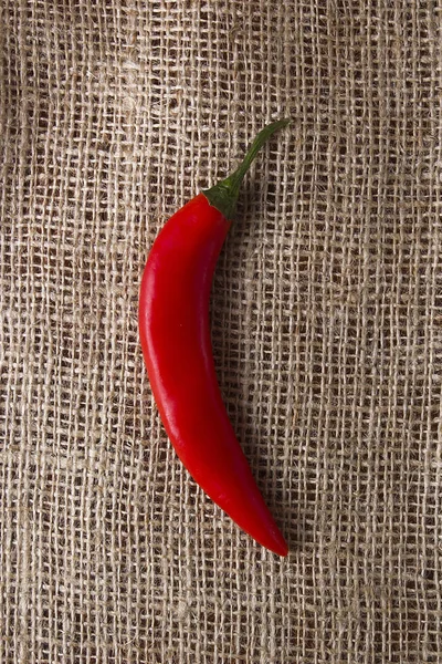 Röd chilipeppar — Stockfoto