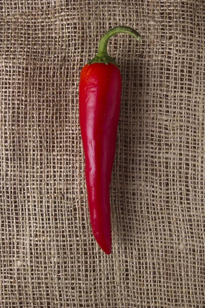 Červené chilli papričky — Stock fotografie