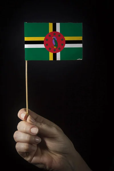 Hand met vlag van Dominica — Stockfoto