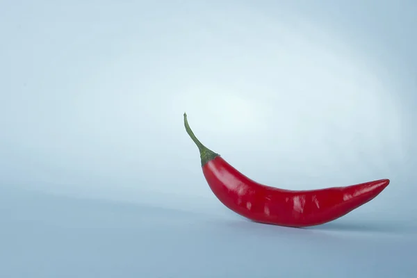 Einzelne rote Chilischoten — Stockfoto