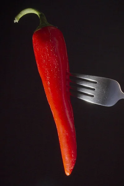 Red Chili Peppers Impaled Fork Black Background — Stock Photo, Image
