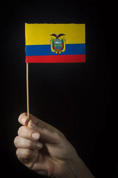 Ruka Malou Vlajkou Státu Ekvádor — Stock fotografie