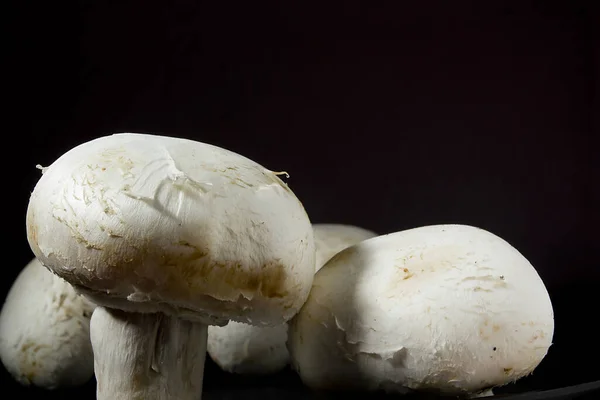Frische Champignon Pilze Auf Einem Schwarzen Tablett — Stockfoto
