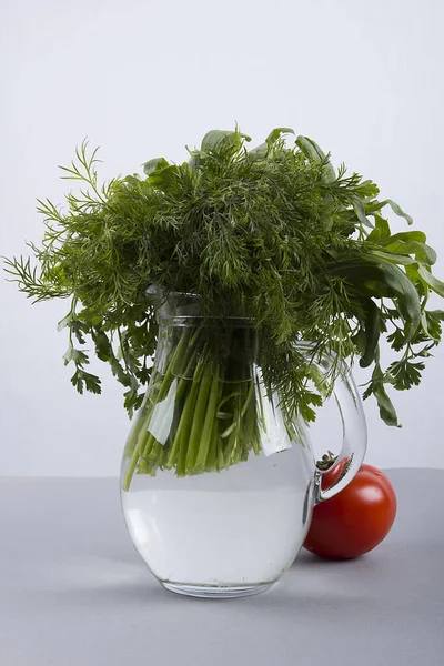 Set Green Fresh Herbs Glass Jug — Stock Photo, Image
