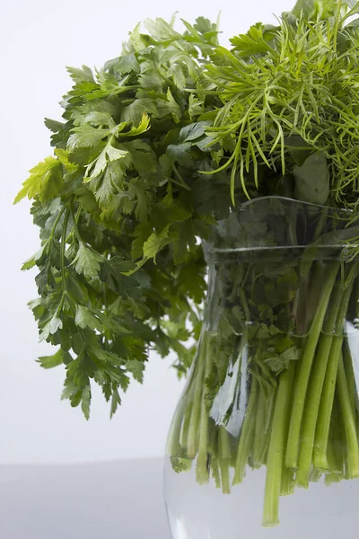 Conjunto Hierbas Frescas Verdes Una Jarra Vidrio — Foto de Stock