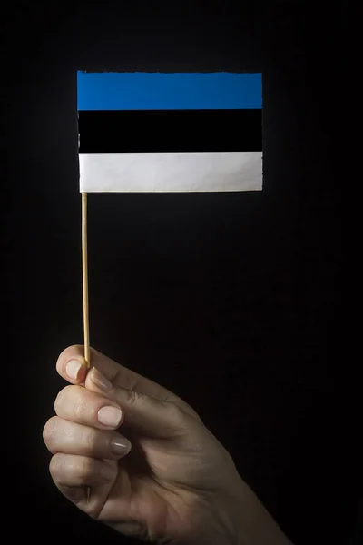 Hand Small Flag State Estonia — Stock Photo, Image