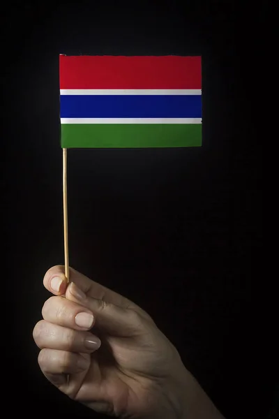 与冈比亚国的小国旗携手并肩 — 图库照片