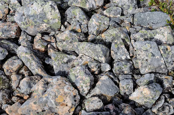 Fondo de piedras grises en tundra — Foto de Stock