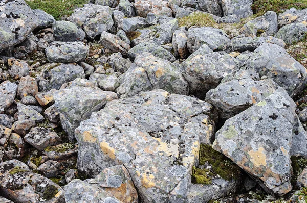 Stora grå stenar i tundra — Stockfoto