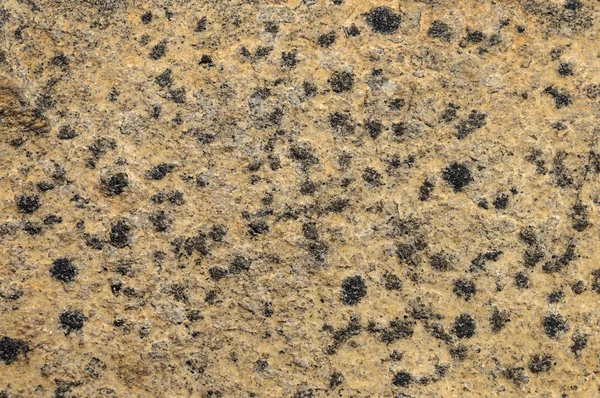 Textura de piedra marrón áspera — Foto de Stock