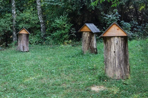 Groupe de vieilles ruches rétro en bois — Photo