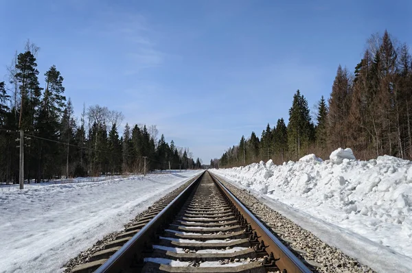 Railway track in spring forest — Stock Photo, Image