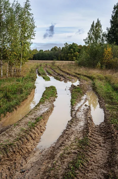 Land onverharde weg met peddels — Stockfoto