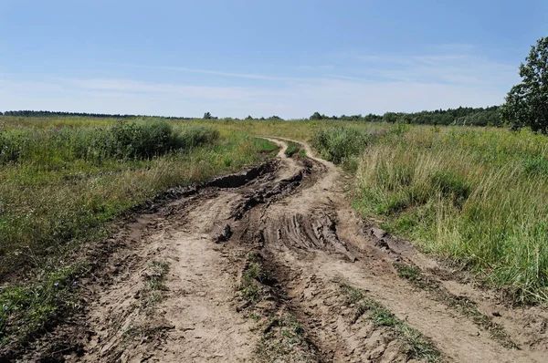 Onverharde weg in de weide — Stockfoto