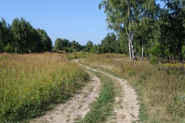 Ülke toprak yol orman glade içinde