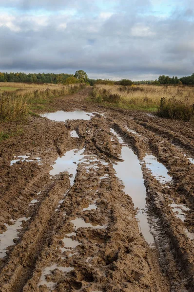 Paese strada sterrata dopo la pioggia — Foto Stock