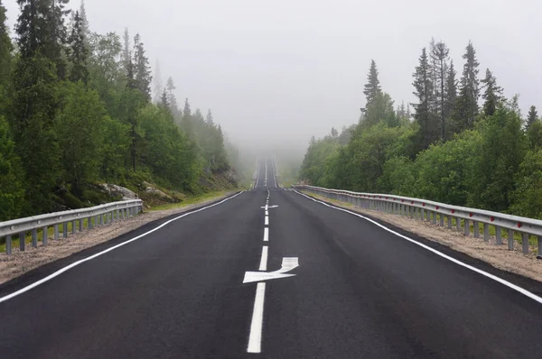 Asphalt road through the forest, foggy summer day — Stock Photo, Image