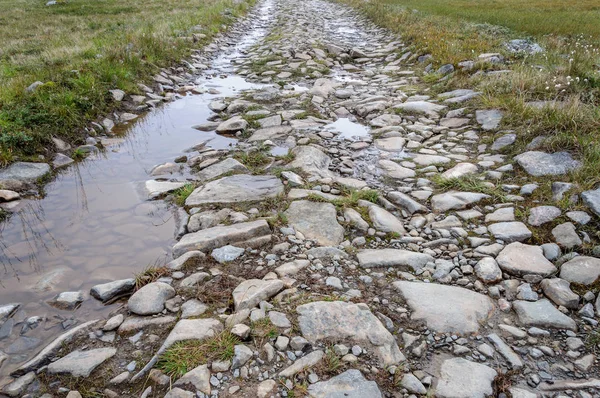 Rotsachtige weg met peddels — Stockfoto