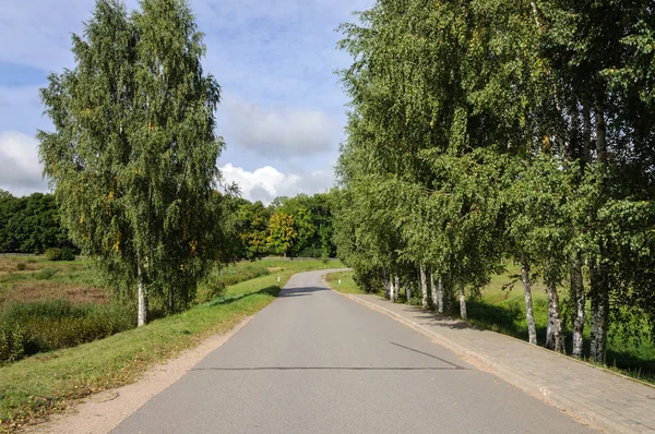 Asphalt road in the country — Stock Photo, Image