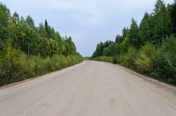 Sandy ülkede yol orman — Stok fotoğraf