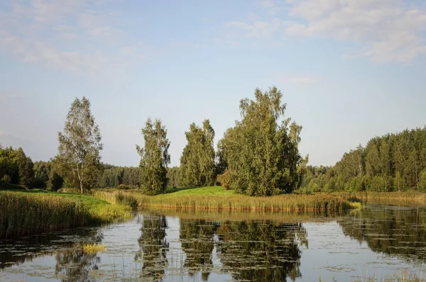 Landschaft Mit Teich Dorf Petrowskoje Museum Reservat Puschkin Gebiet Pskow — Stockfoto