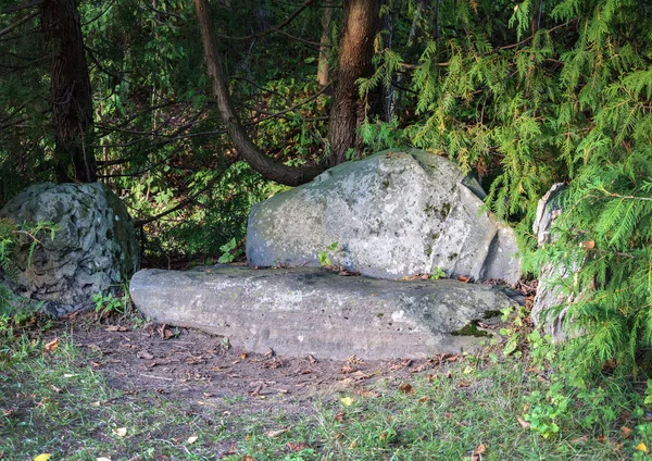 Πέτρα καναπέ στο παλιό πάρκο Εικόνα Αρχείου
