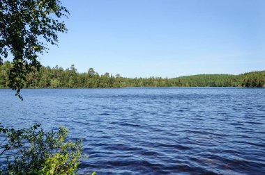 Orman Gölü yaz aylarında