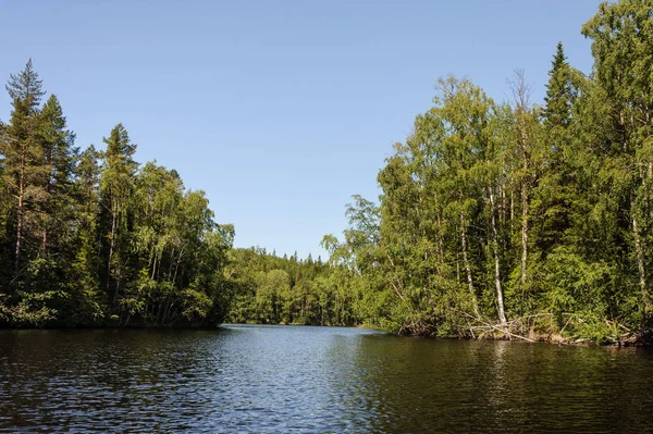 Costas cobertas de um lago florestal — Fotografia de Stock