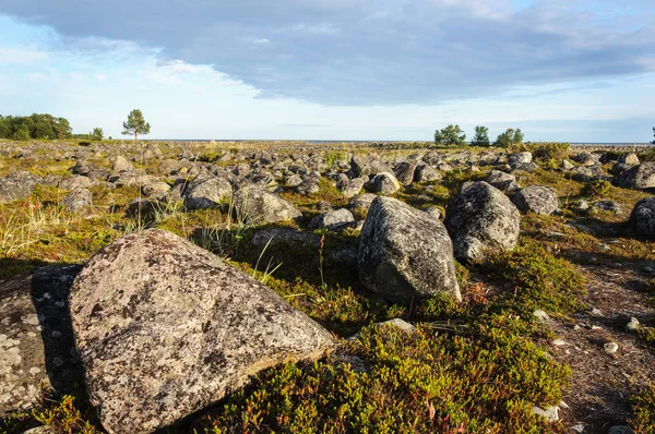 Grandi pietre nella tundra — Foto Stock