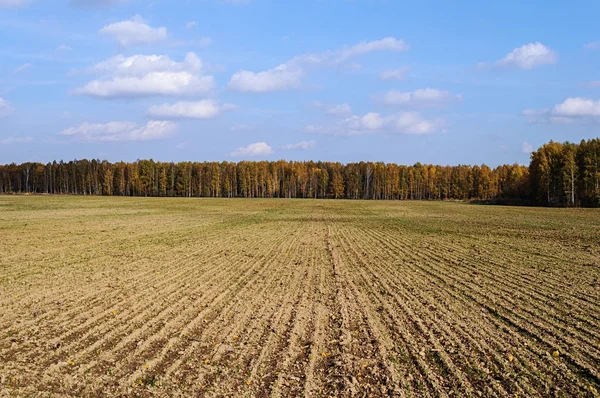 Campo arato in autunno — Foto Stock