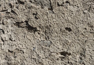 Eski evin toprak duvar