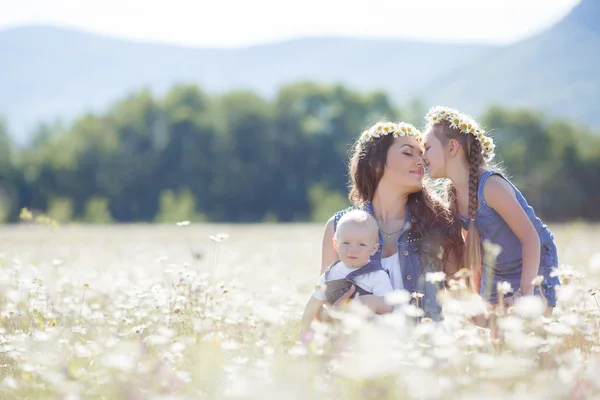 Matki z dziećmi w polu lato kwitnący stokrotki — Zdjęcie stockowe